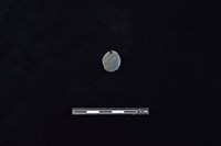 板岩片藏品圖，第1張